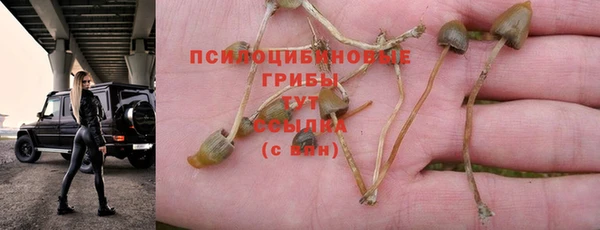 сатива Наволоки