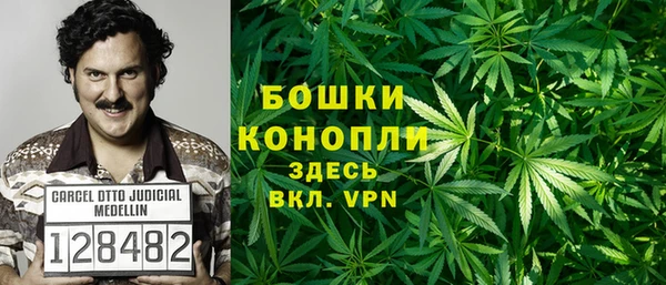 сатива Наволоки