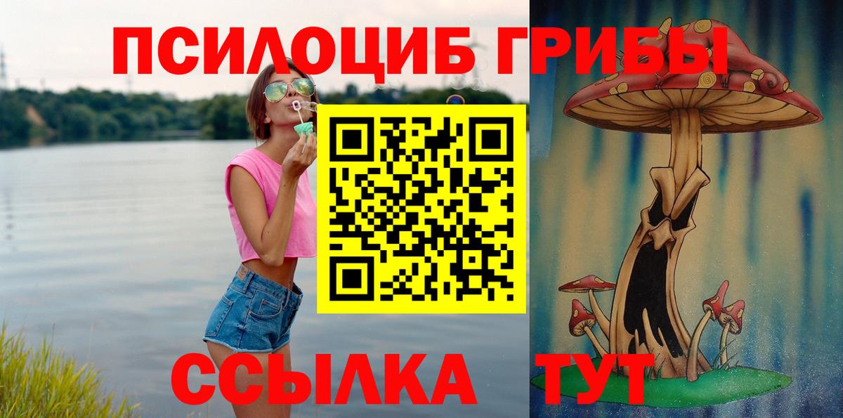 Псилоцибиновые грибы Cubensis  Вход с VPN  Мытищи 